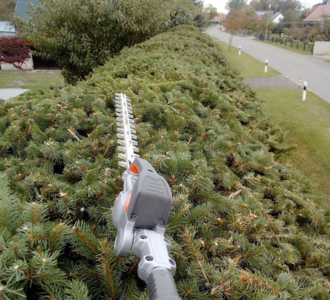 Heckenschnitt an einer 4m hohen Hecke