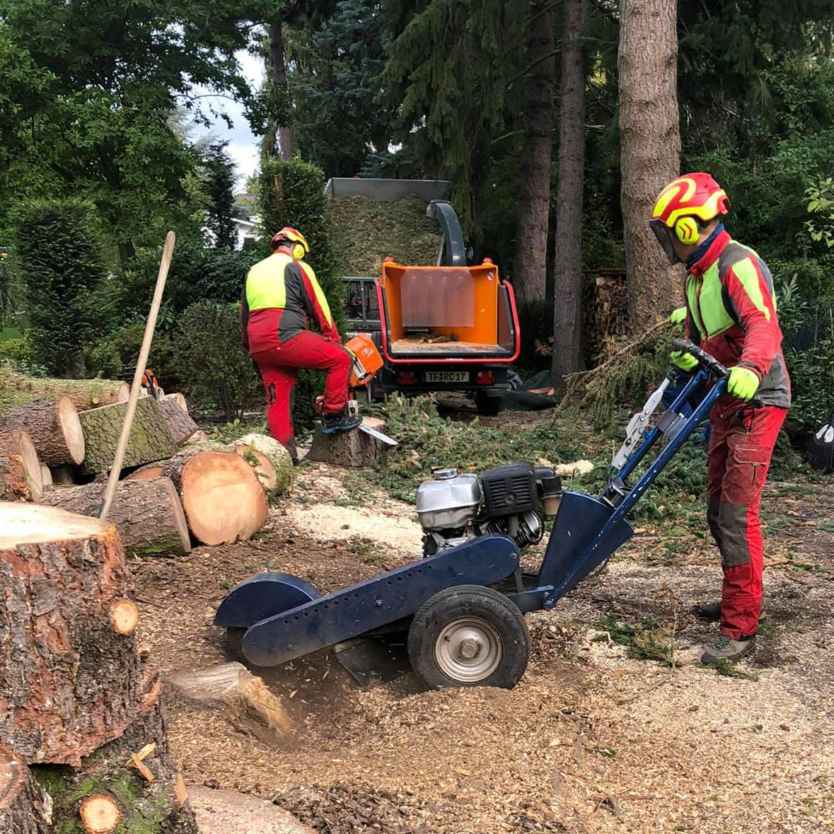 Stubbenfräsen: Entfernung von Baumstumpf und Baumwurzeln mit der Stubbenfräse