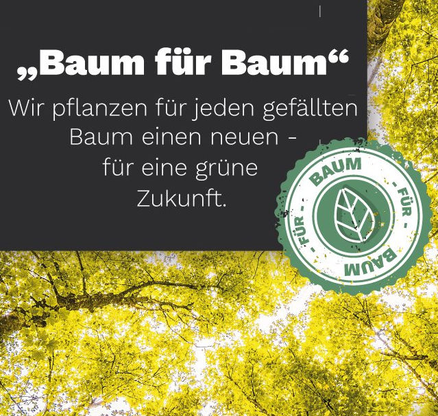 baum_fuer_baum
