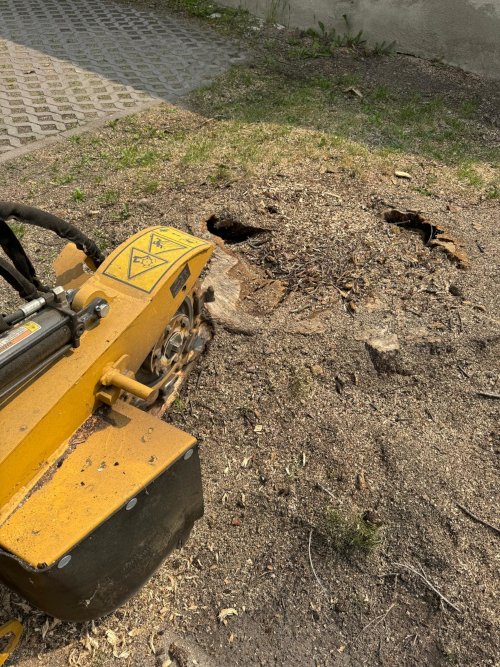 Baumstumpf entfernen mit Stubbenfräse