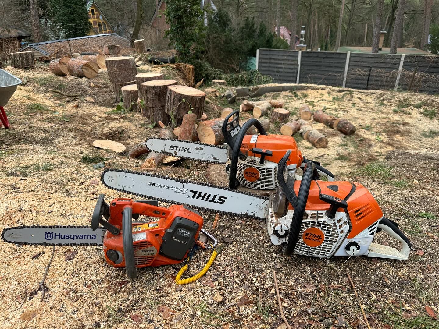 Motosägen nach der Baumfällung