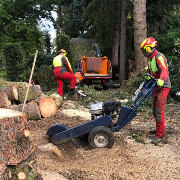 Stubbenfräsen: Entfernung von Baumstumpf und Baumwurzeln mit der Stubbenfräse
